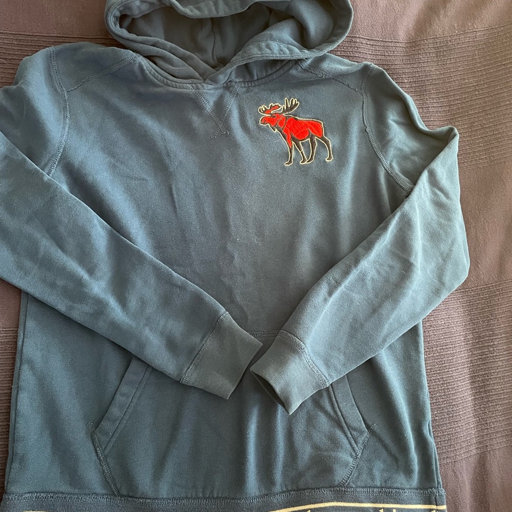 Abercrombie Kids Teal Hoodie